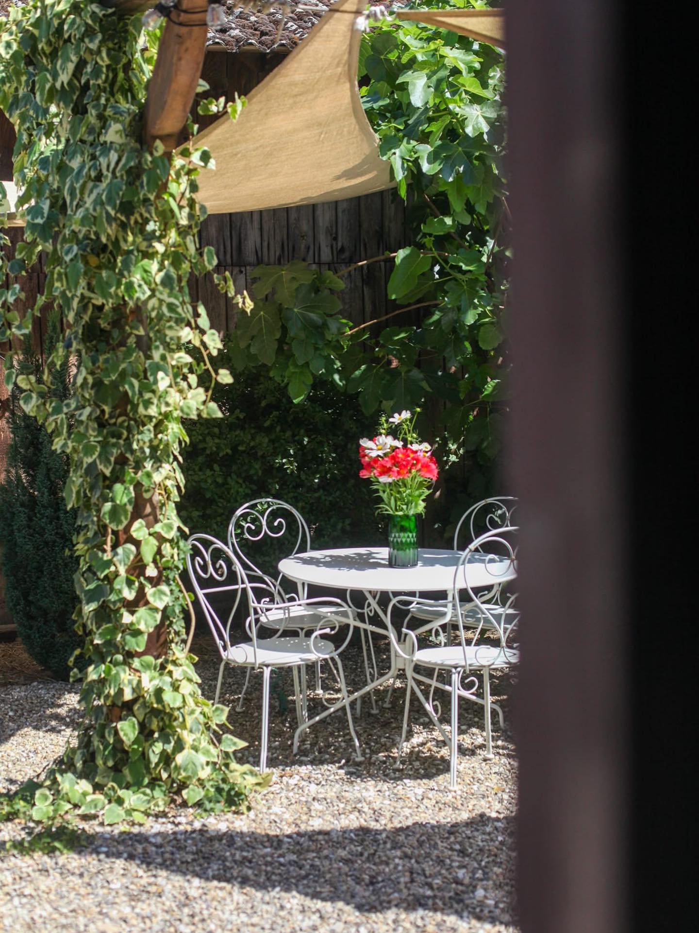 À l’ombre des arbres, entourée de verdure et du calme des beaux jours, notre terrasse bucolique vous accueille pour un moment de détente hors du temps ✨
🍸 Savourez votre apéritif accompagné de délicates bouchées, dans un cadre intimiste et verdoyant 🌿
#EnfinBarr #TerrasseBucolique #Barr #ÉtéEnTerrasse #MomentGourmand