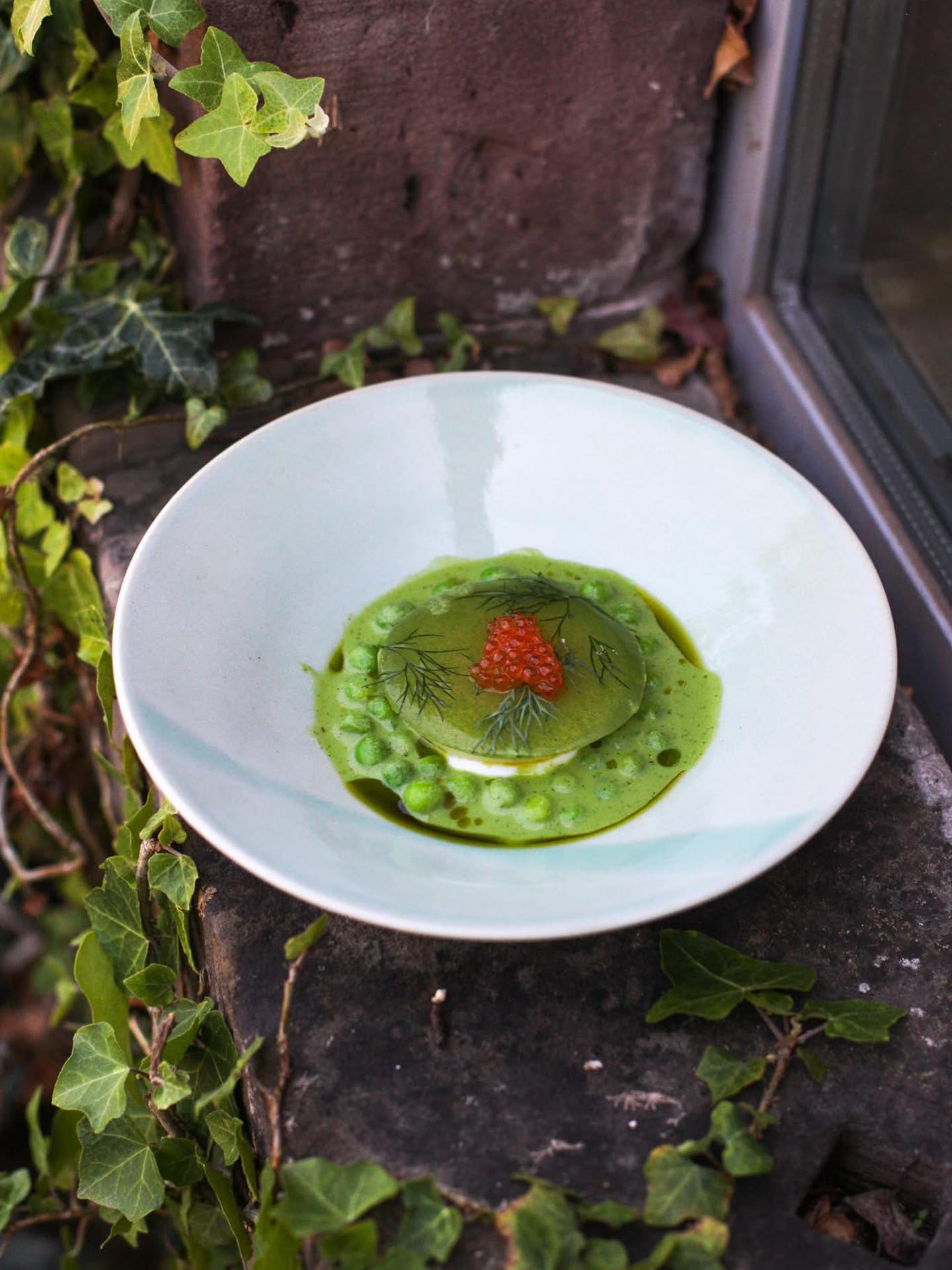 💚 La saison des petits pois touche à sa fin …
Retour sur une création éphémère de notre menu printanier : petits pois d’Alsace cuits à l’anglaise, voile de cosses délicat, mozzarella alsacienne fouettée, et chou-rave décliné en confit à l’huile d’aneth et brunoise croquante.
Une alliance subtile de fraîcheur et de textures, hommage au terroir.
#EnfinÀBarr #HauteGastronomie #SaveursAlsaciennes #ÉtéGourmand #ArtCulinaire #Terroir